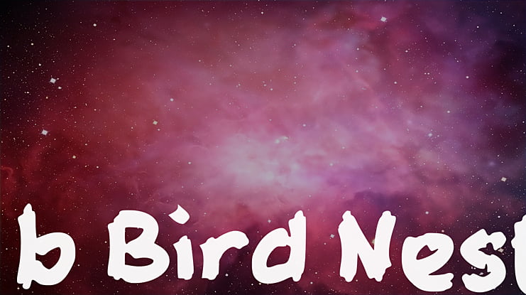 b Bird Nest Font