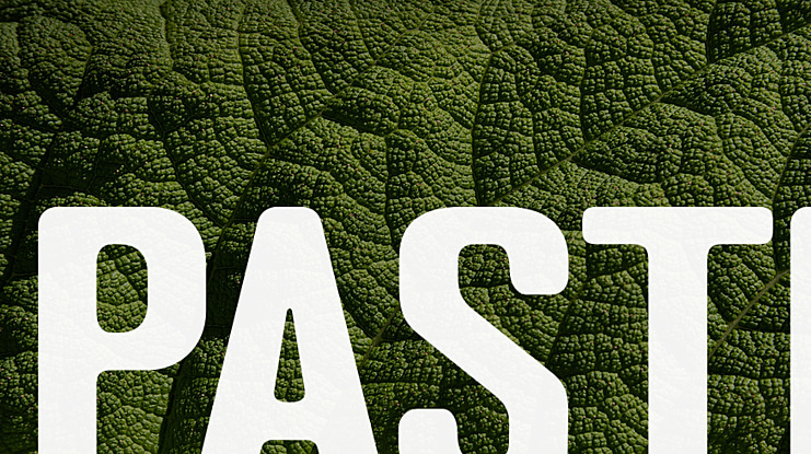 PASTI Font Family