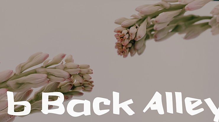 b Back Alley Font