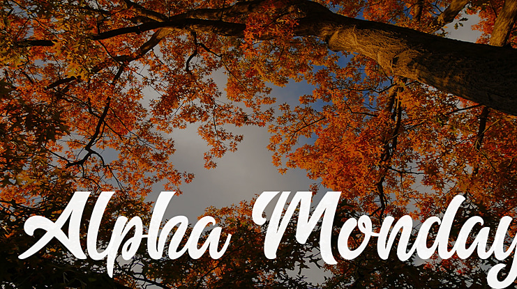 Alpha Monday Font