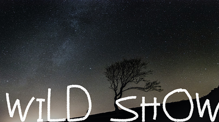 Wild Show Font
