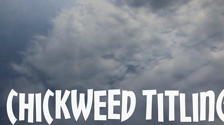 Chickweed Titling Font