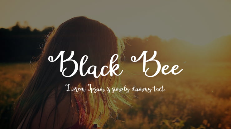 Black Bee Font