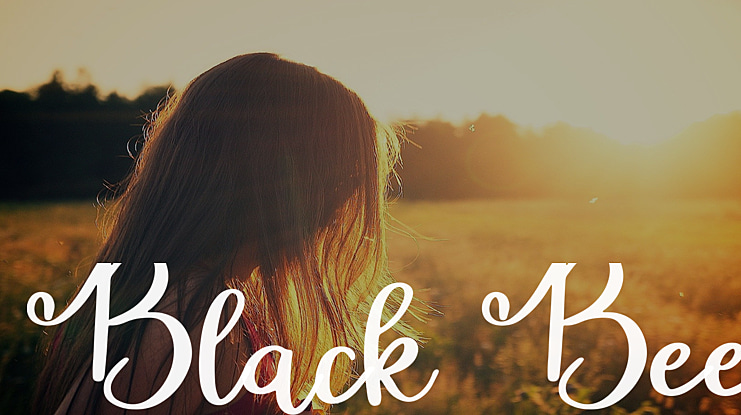 Black Bee Font