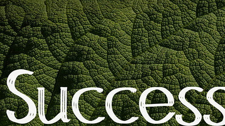 Success Font