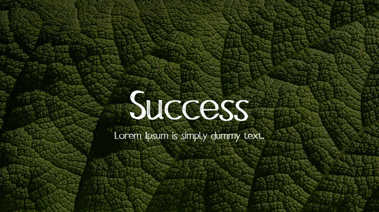 Success Font