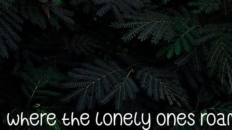 Where The Lonely Ones Roam Font