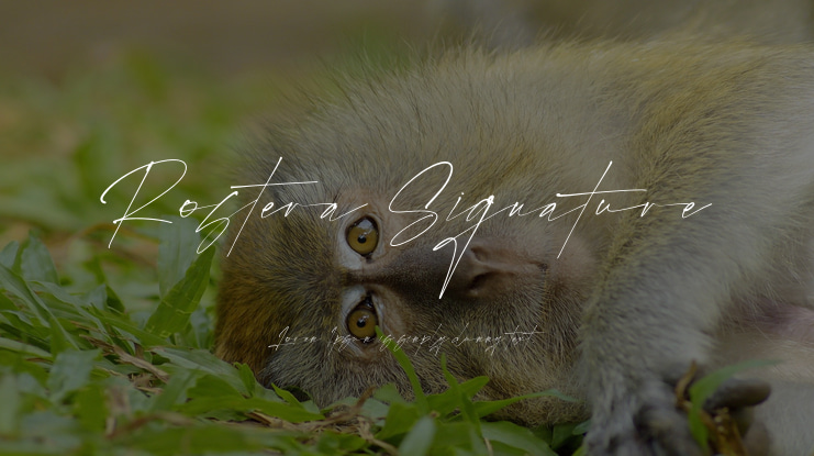 Rostera Signature Font