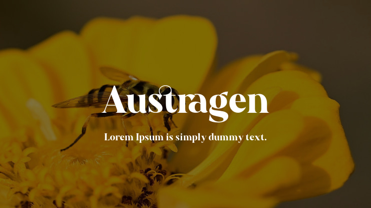 Austragen Font