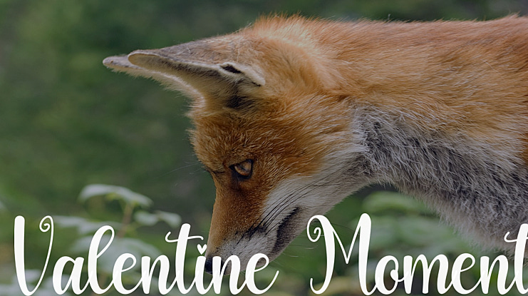 Valentine Moment Font