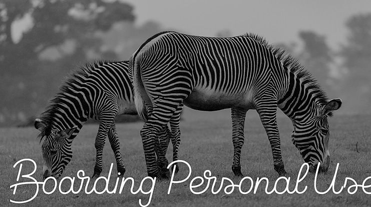 Boarding Personal Use Font