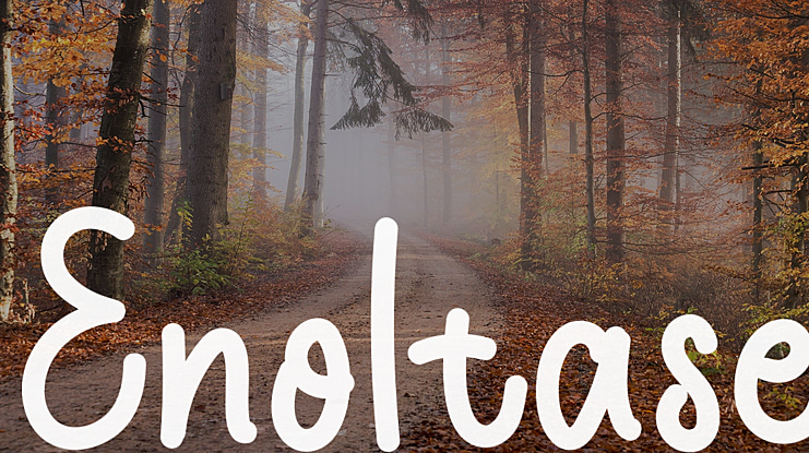 Enoltase Font