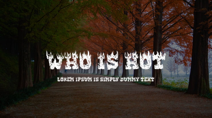 WHO IS HOT Font Family