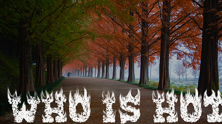 WHO IS HOT Font Family