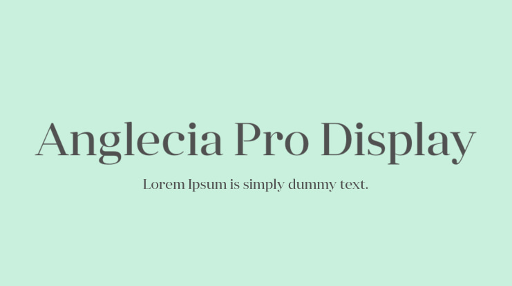 Anglecia Pro Display Font