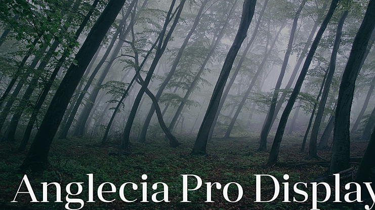 Anglecia Pro Display Font