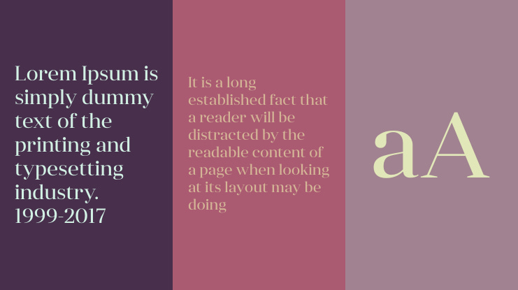 Anglecia Pro Display Font