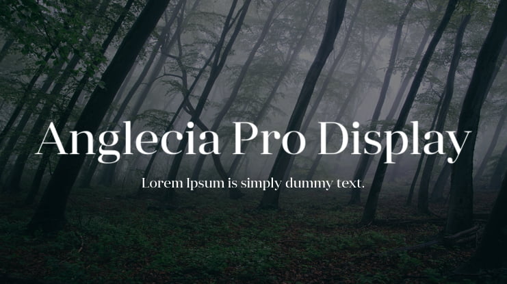 Anglecia Pro Display Font