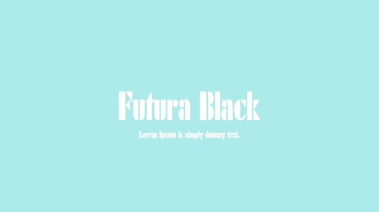 Futura Black Font