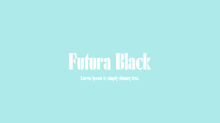 Futura Black Font