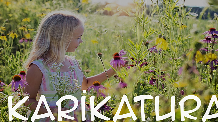 Karikatura Font Family