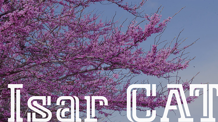 Isar CAT Font