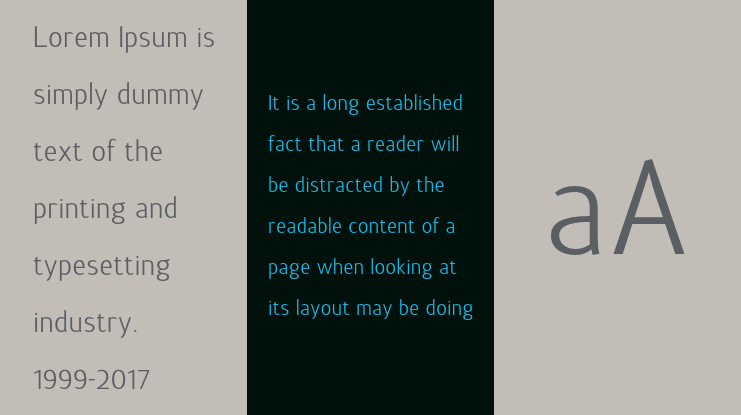 Terra Sans Font Family