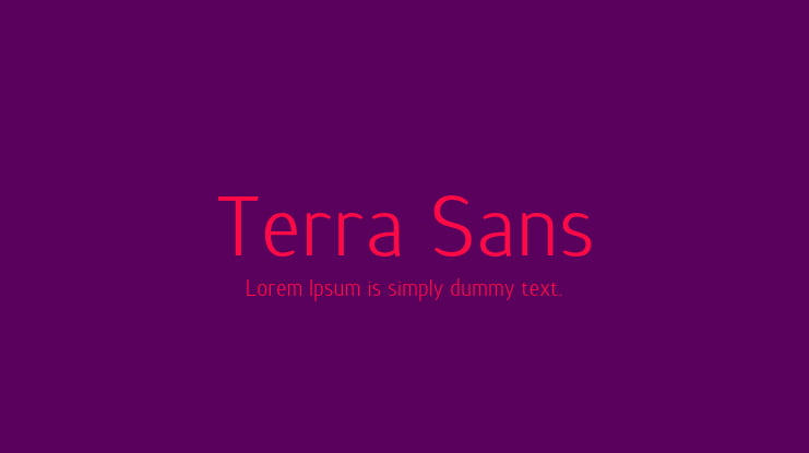 Terra Sans Font Family