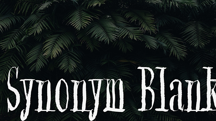 Synonym Blank Font