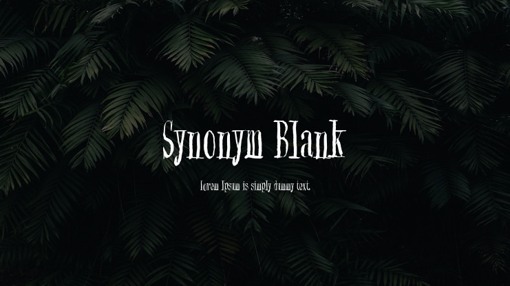 Synonym Blank Font