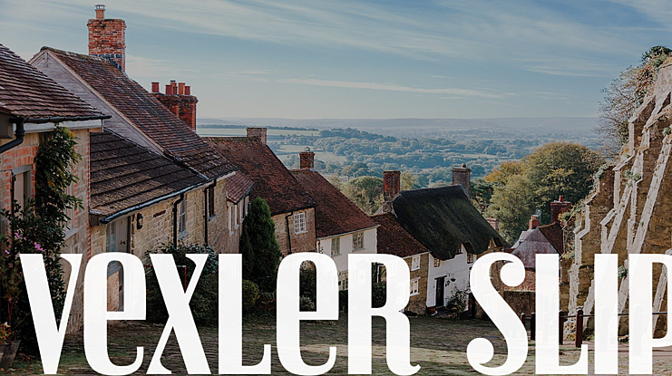 Vexler Slip Font