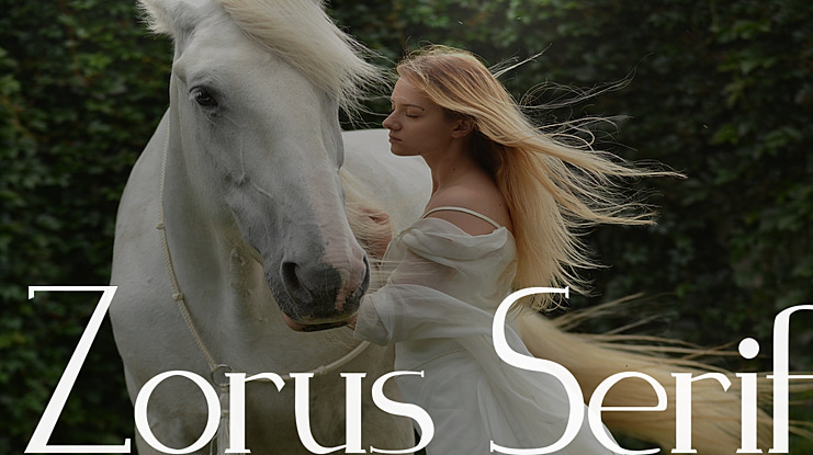 Zorus Serif Font Family