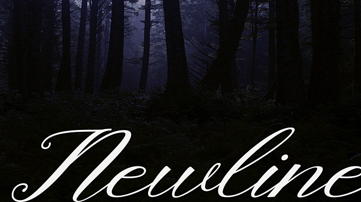Newline Font