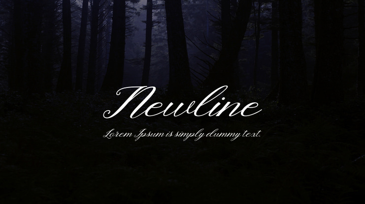Newline Font