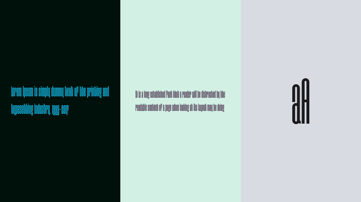 Disclaimer Font Family