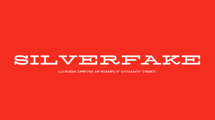Silverfake Font
