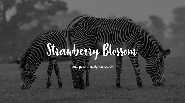 Strawberry Blossom Font