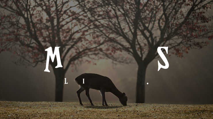 Magnificent Serif Font