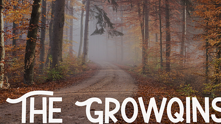 The Growqins Font