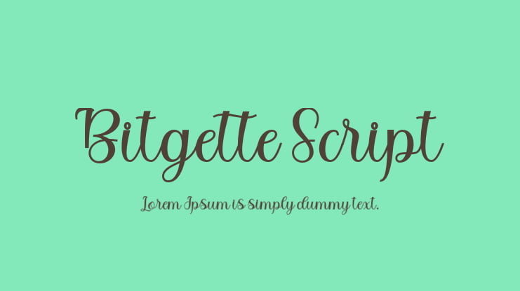 Bitgette Script Font