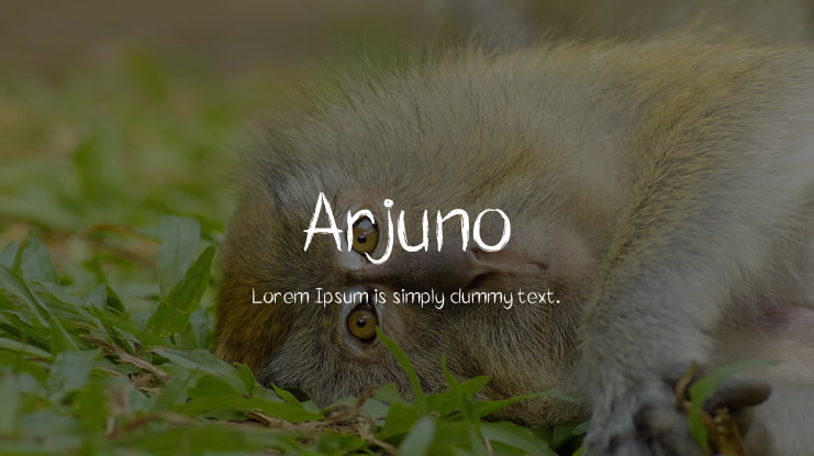 Arjuno Font