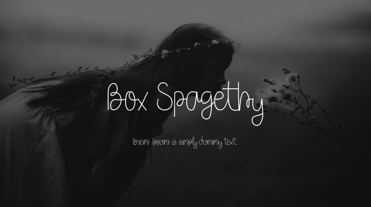 Box Spagethy Font Family