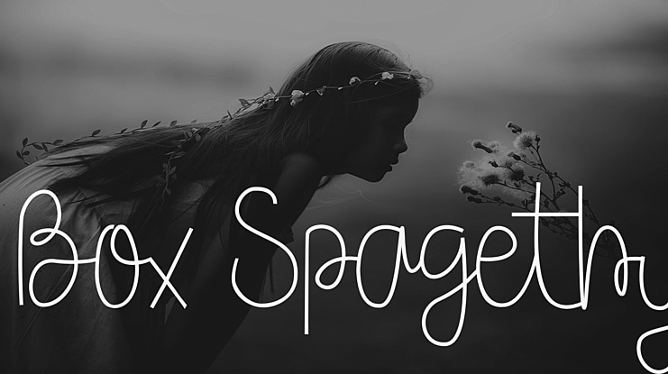 Box Spagethy Font Family