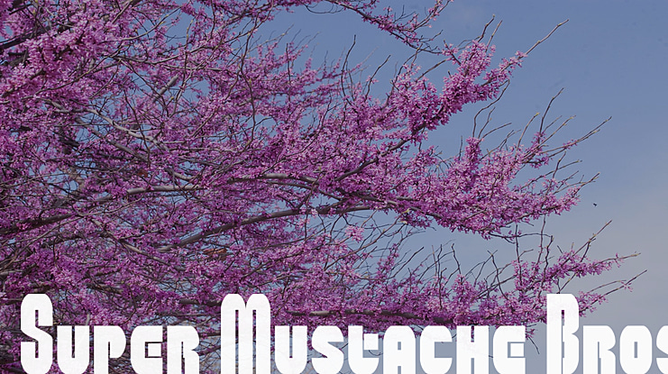 Super Mustache Bros Font