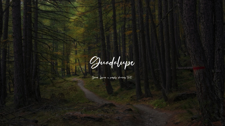 Guadalupe Font Family