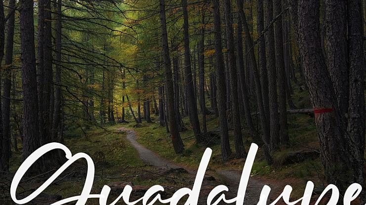 Guadalupe Font Family