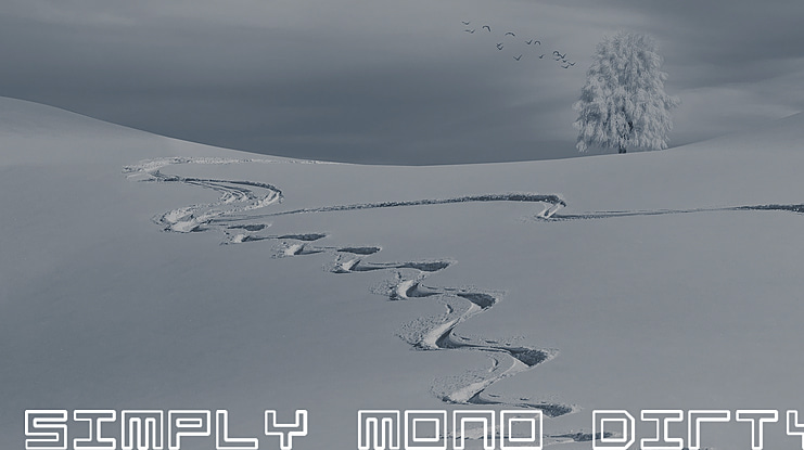Simply Mono Font Family