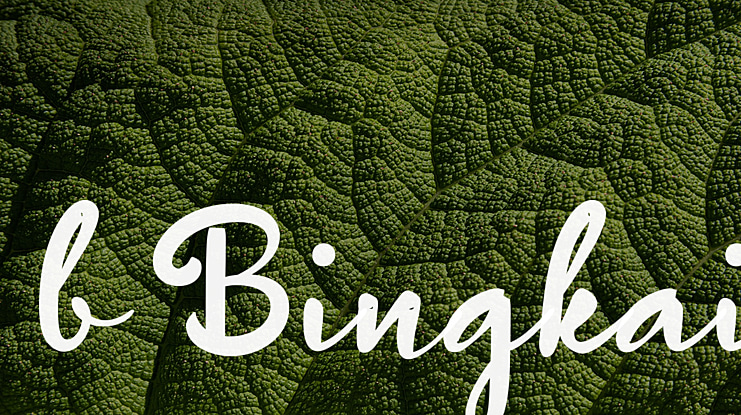 b Bingkai Font