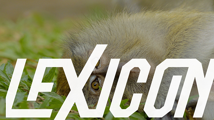 Lexicon Font