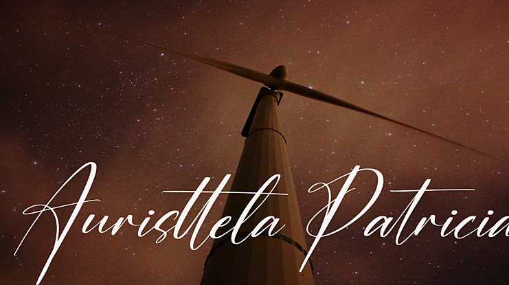 Auristtela Patricia Font